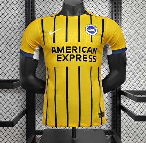 24/25 Player Version Brighton &amp; Hove Albion Away Jersey